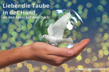 Haben Sie die Taube in der Hand und meinen, es wäre nur der Spatz?